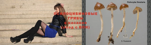 гидропоника Заволжск