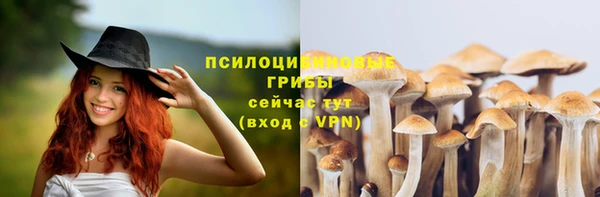 гашик Заводоуковск