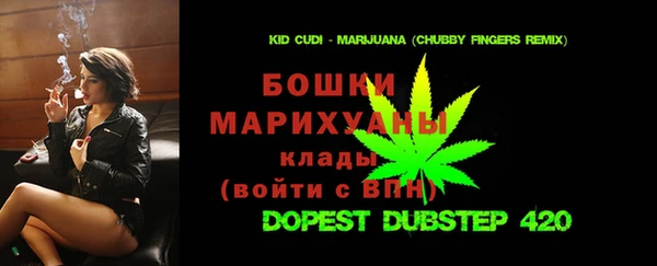 гашик Заводоуковск