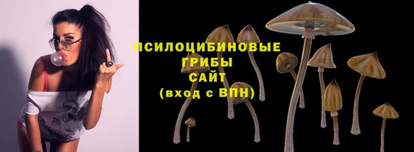 a pvp Заволжье