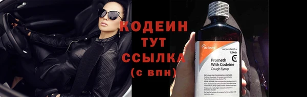 гашик Заводоуковск