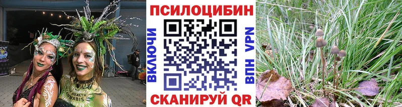 Купить  Исилькуль  Галлюциногенные грибы мухоморы 
